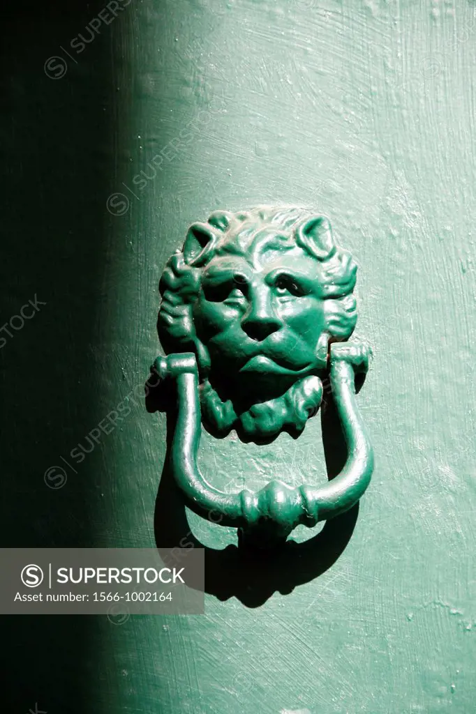 detail of lion head brass steel door knocker in sun