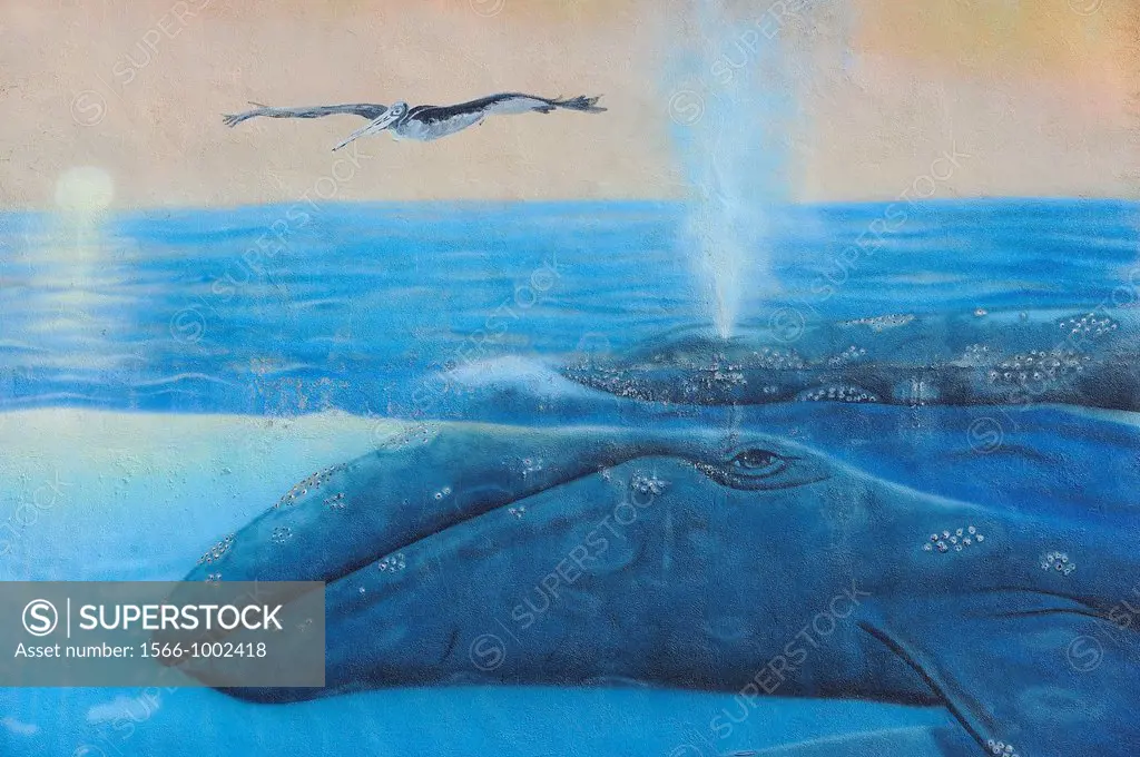 Mexico, Baja California, La Paz, Mural representing a whale and a brown pelican