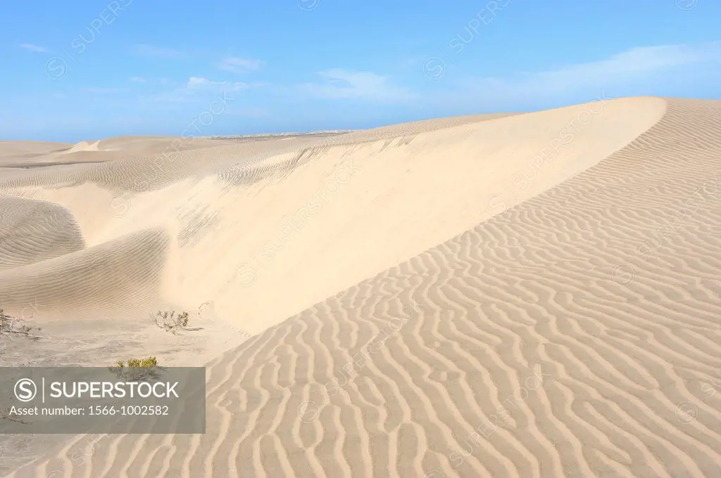 Mexico, Baja California, Bahia Magdalena, Puerto Lopez Mateos surroundings, Sand dunes