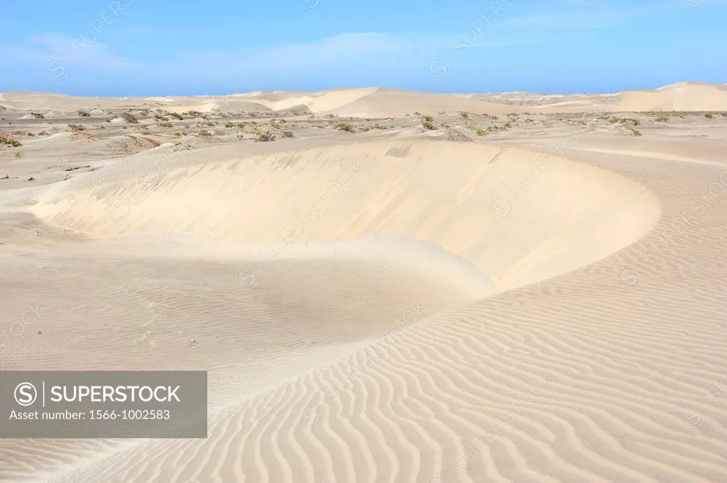 Mexico, Baja California, Bahia Magdalena, Puerto Lopez Mateos surroundings, Sand dunes
