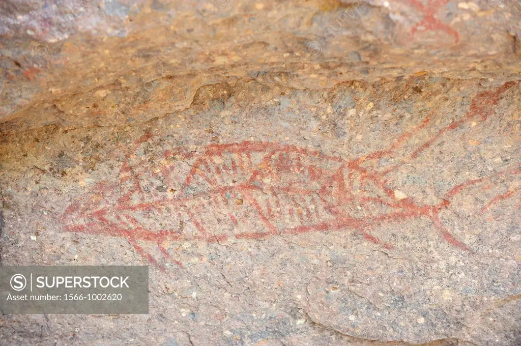 Mexico, Baja California, Mulege surroundings, Canyon La Trinidad, Pre Columbian rock paintings