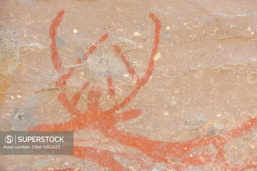 Mexico, Baja California, Mulege surroundings, Canyon La Trinidad, Pre Columbian rock paintings, The deer
