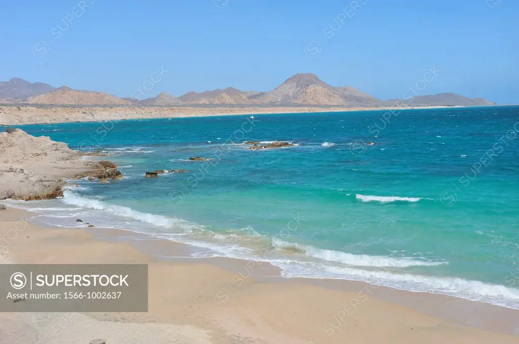 Mexico, Baja California, Cabo Pulmo, Playa Los Arbolitos