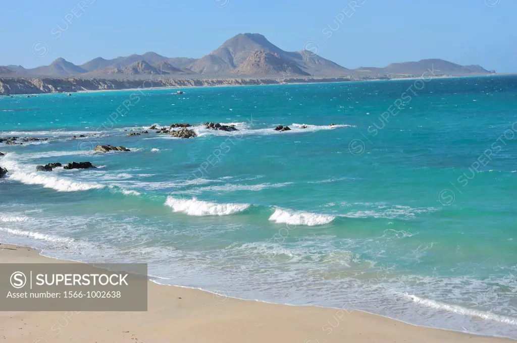Mexico, Baja California, Cabo Pulmo, Playa Los Arbolitos