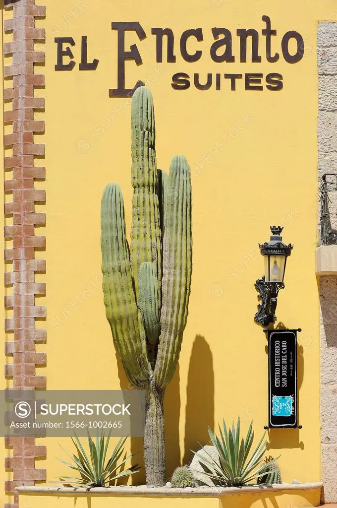 Mexico, Baja California, San Jose del Cabo, El Encanto Suites hotel