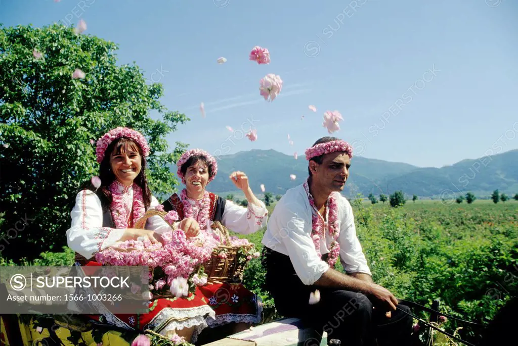 people on a cart during the Rose Festival in the Rose Valley, Kazanlak, Bulgaria, Europe