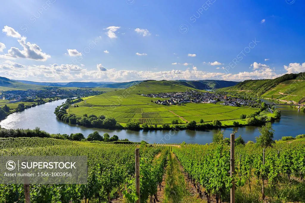 Germany ,Moseltal , Mosel Valley , Trittenheim City, Mose River, vinyards