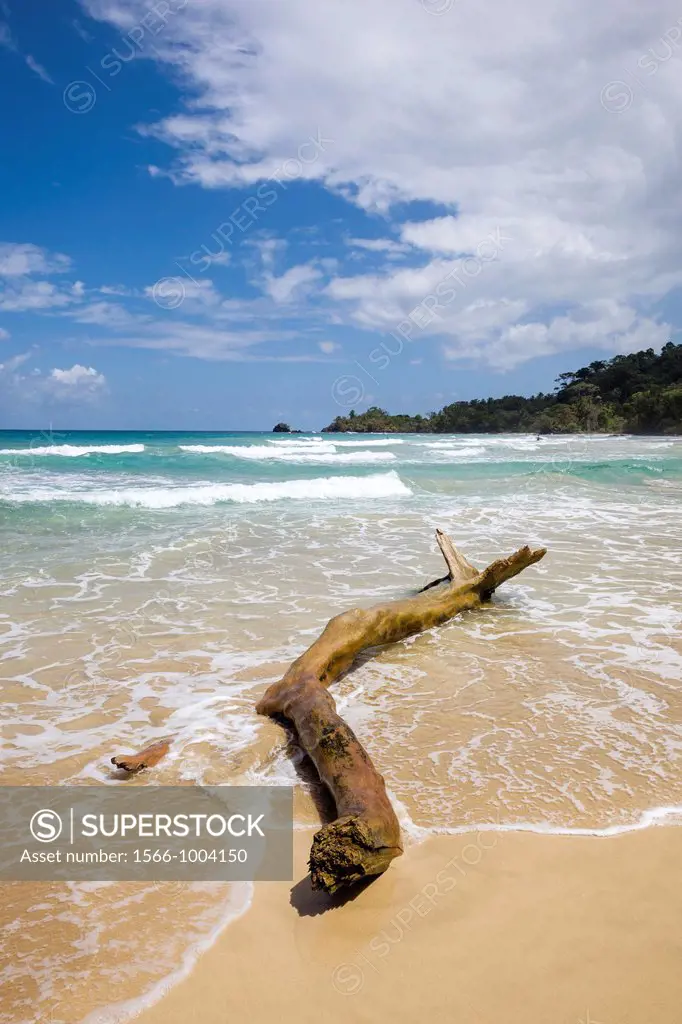Waves wash across Wizard Beach First Beach on Isla Bastimentos, Bocas del Toro, Panama