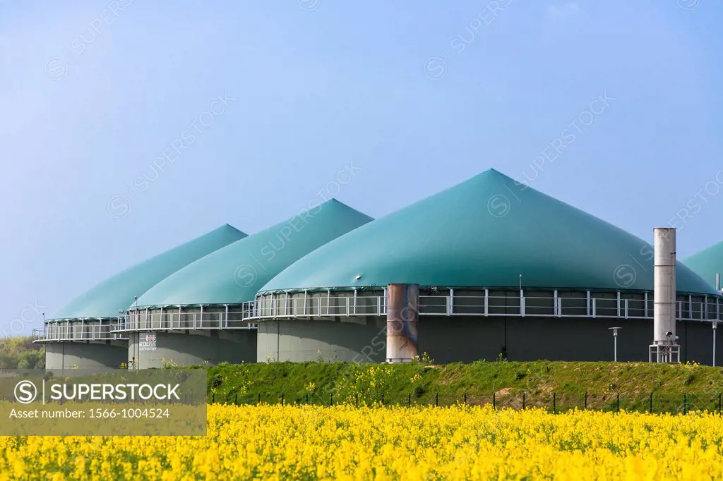 Biogas plant in the middle of a rapeseed field, Lower Saxony, Germany, Europe
