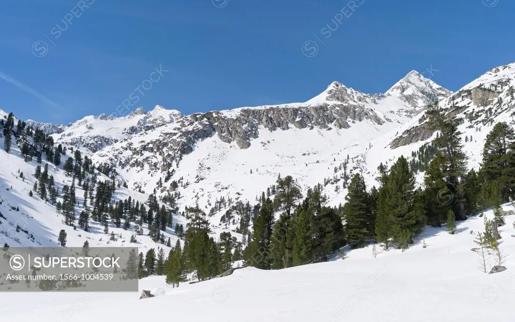Reichenspitzgruppe der Zillertaler Alpen im Nationalpark Hohe Tauern im Winter bei Eis und Schnee Das einsame Rainbachtal mit der Reichenspitze 3303m ...