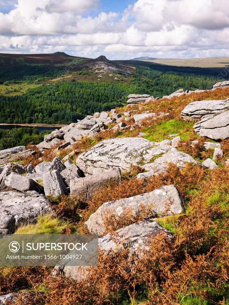 Late summer view of Leather Tor and Sharpitor from Sheeps Tor in the Dartmoor National Park, Devon, England, United Kingdom
