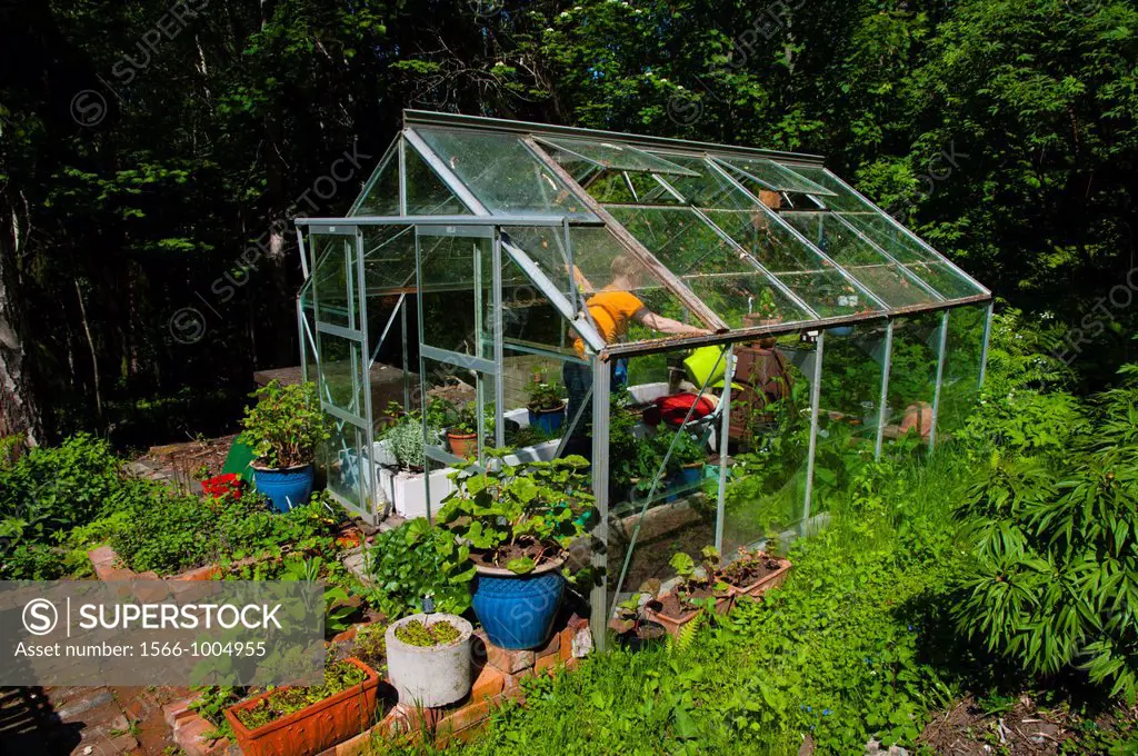 Greenhouse at a private garden plot field Porvoo Uusimaa province Finland northern Europe