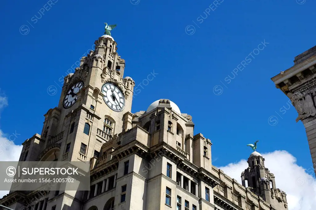 the historic liver building on the waterfront in liverpool, england, uk