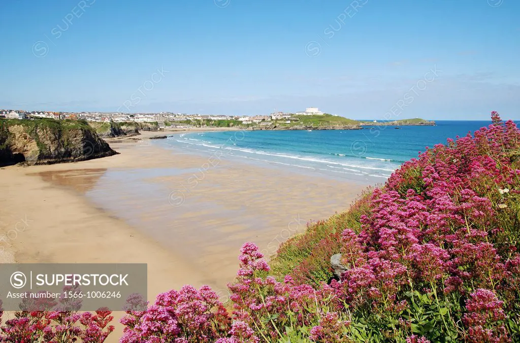 one of the many beaches at newquay in cornwall, england, uk