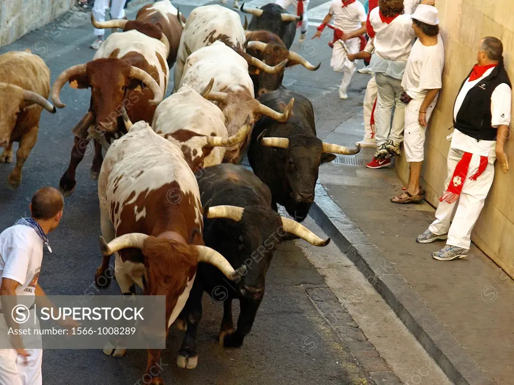running of the bulls in San Fermin Pamplona 2012