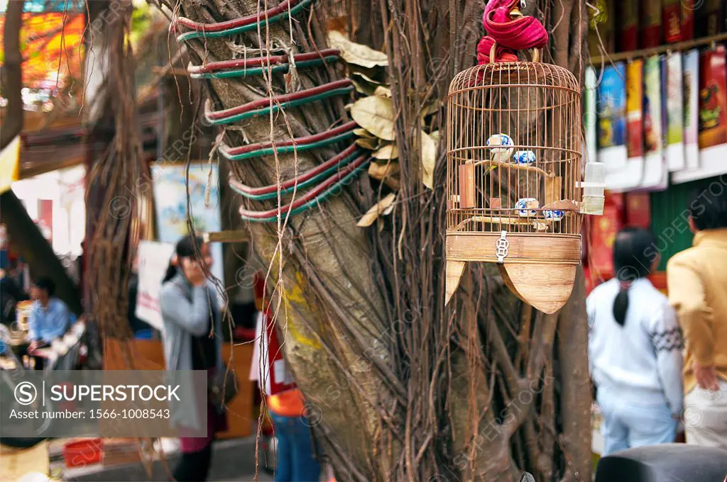 A bird cage hanging from a tree outside a shop in Hanoi, Vietnam