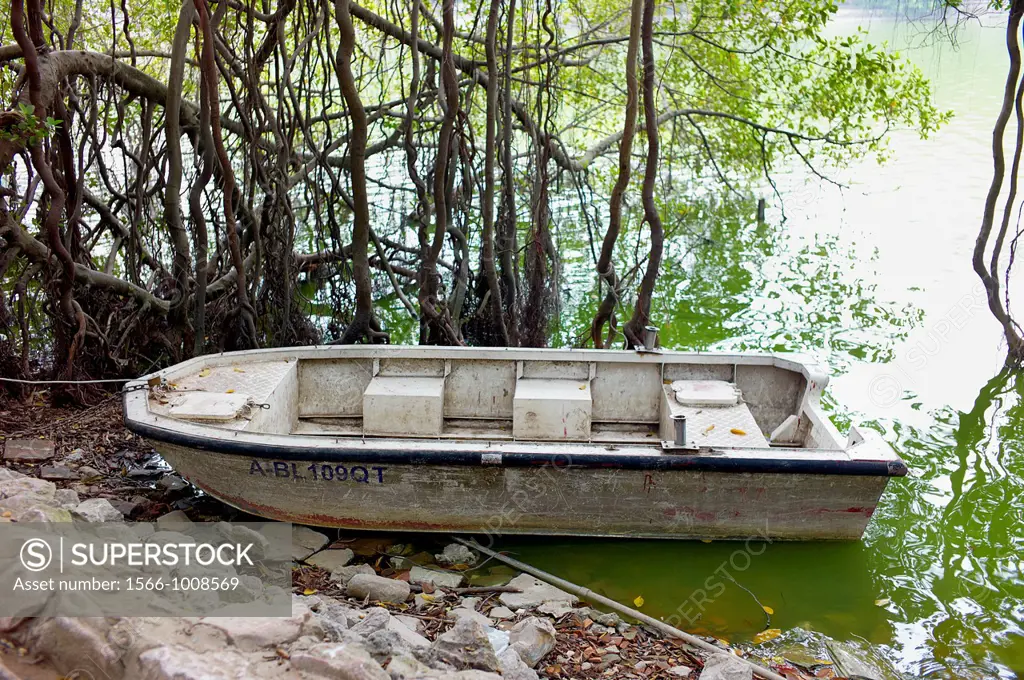 A decrepit run down dingy boat tie to a tree on Hoan Kiem Lake