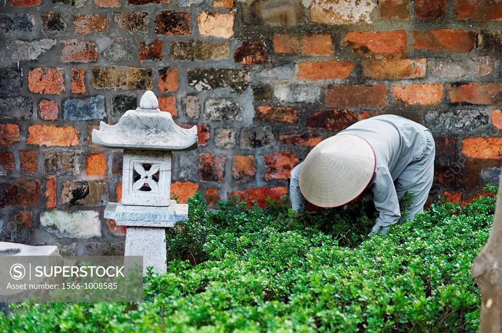 A worker tending plants in a traditional garden