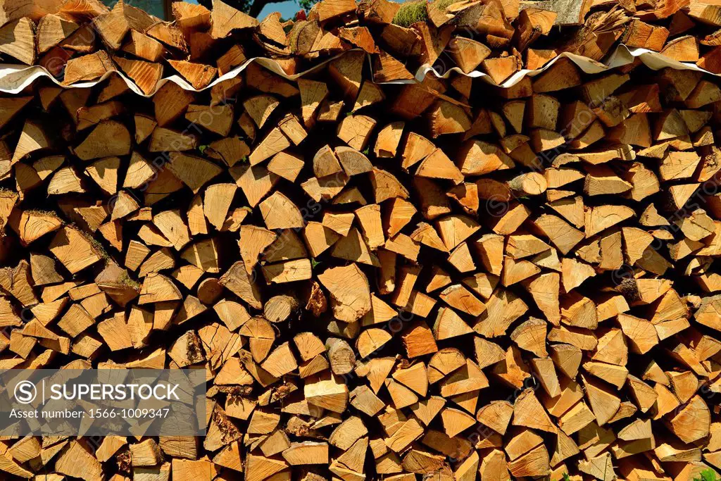 Black Forest , firewood