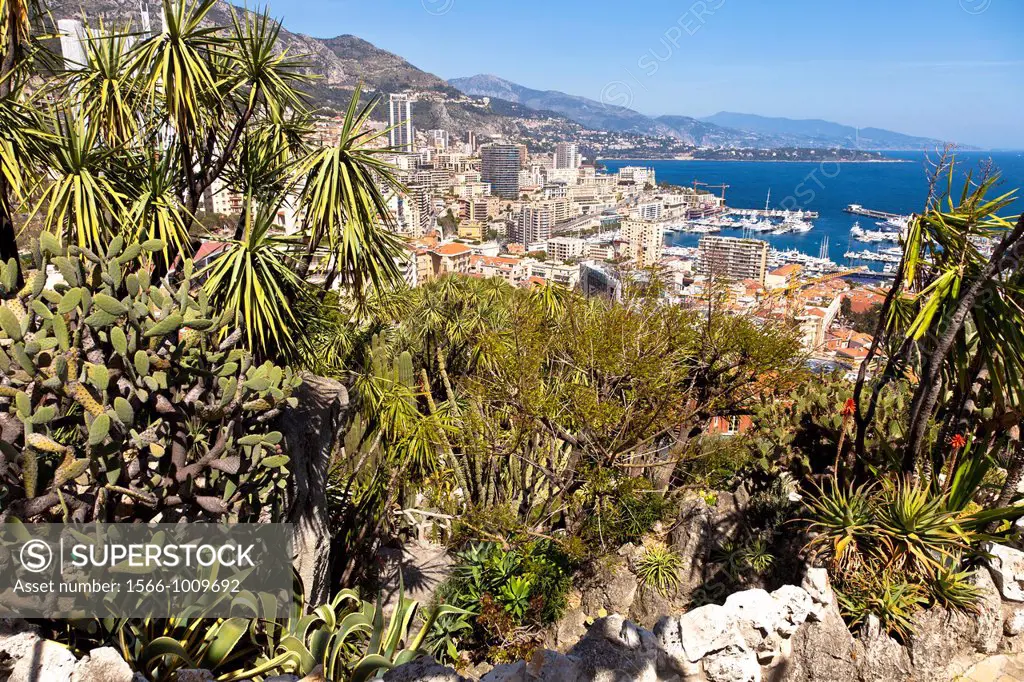Exotic Garden in Principality of Monaco, Europe