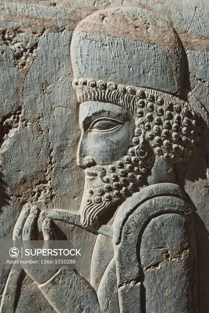 Persian Merchants relief, Persepolis, Shiraz, Iran