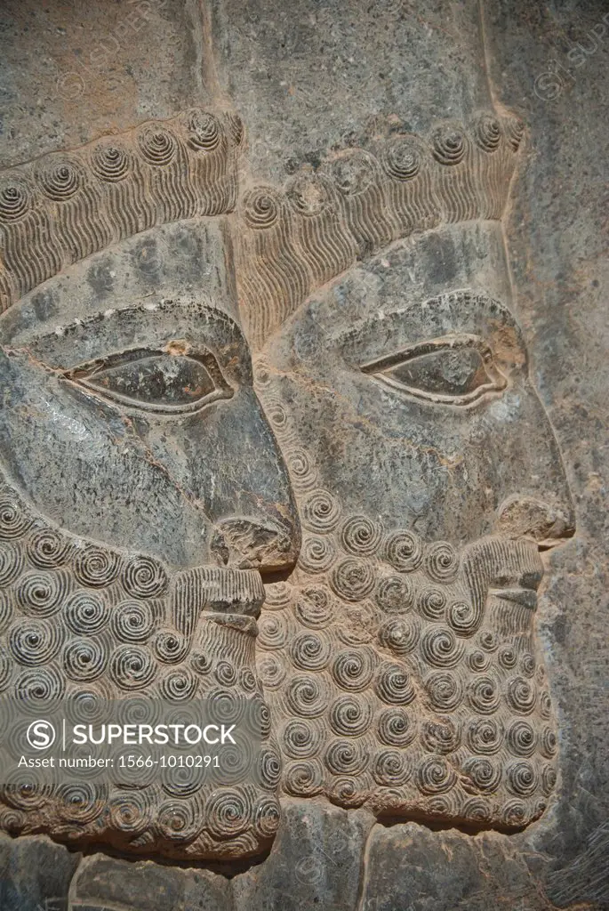 Persian soldiers reliefs, Persepolis, Shiraz, Iran
