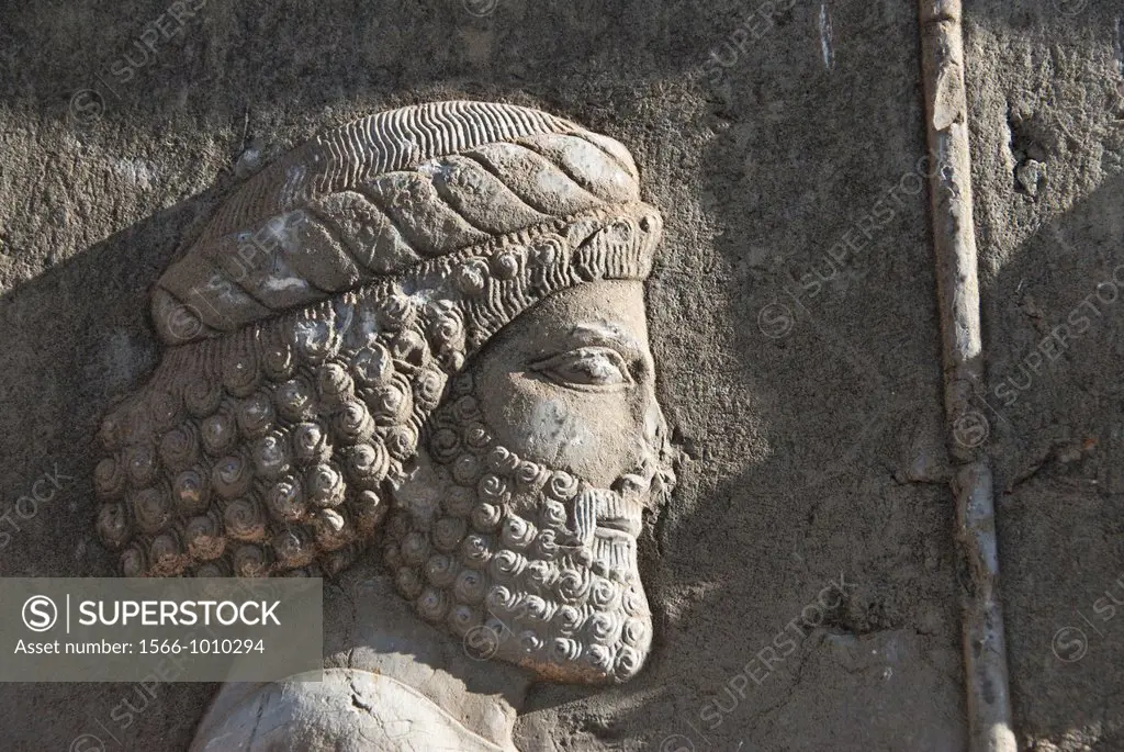 Persian Soldier relief, Persepolis, Shiraz Iran