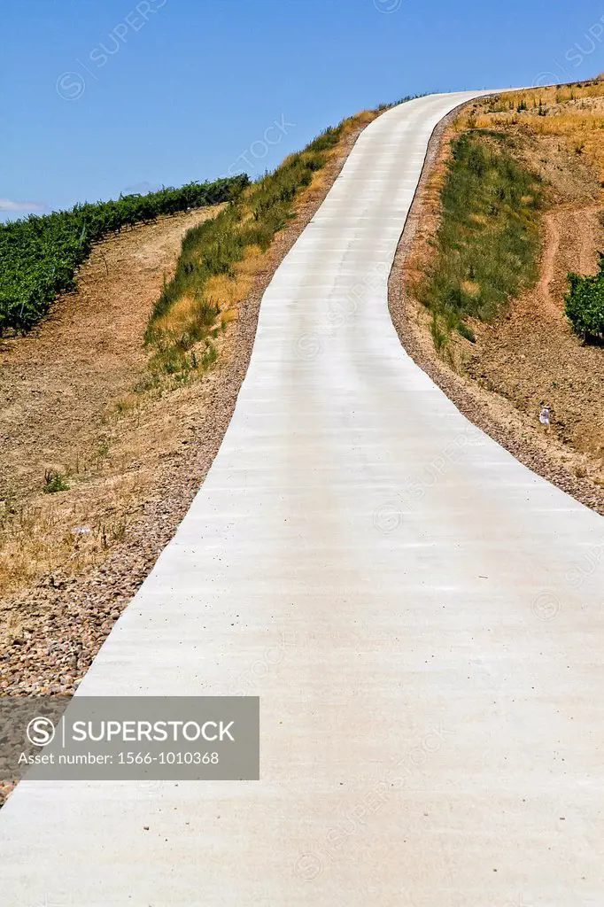 Vineyards landscape and road , Verdejo grape, Castile and León, Spain
