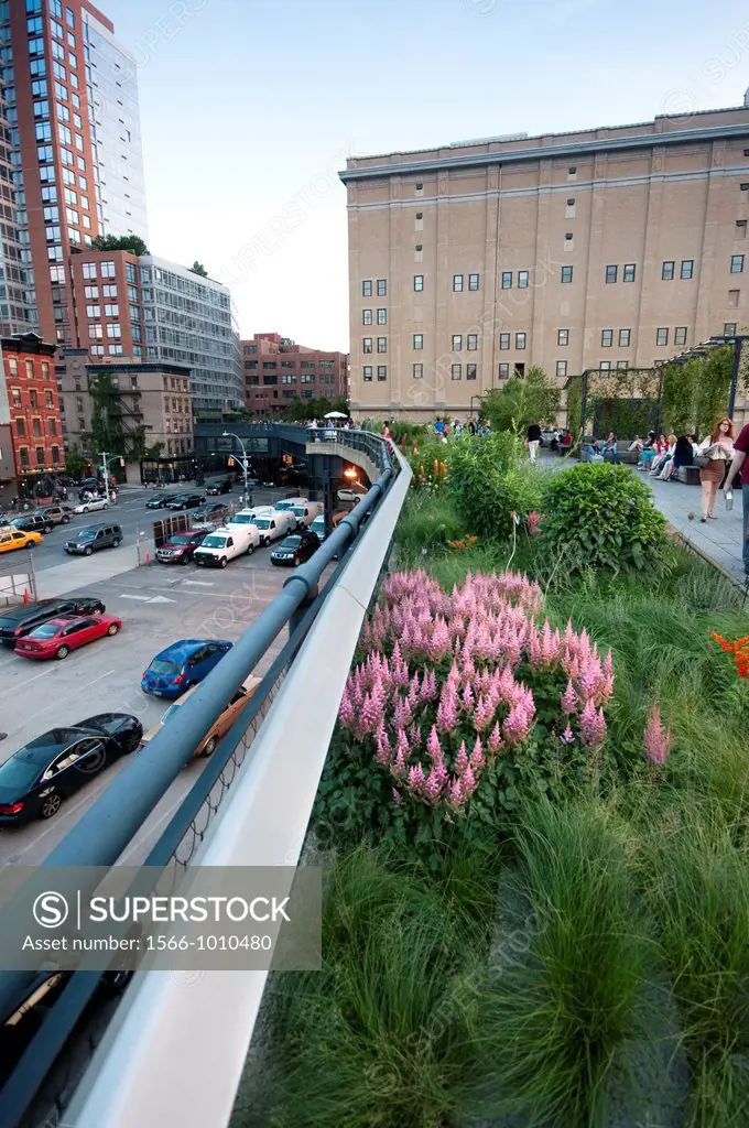 USA, New York, New York City, Manhattan, West Side, Meat Packing District, High Line Elevated Park, Flower