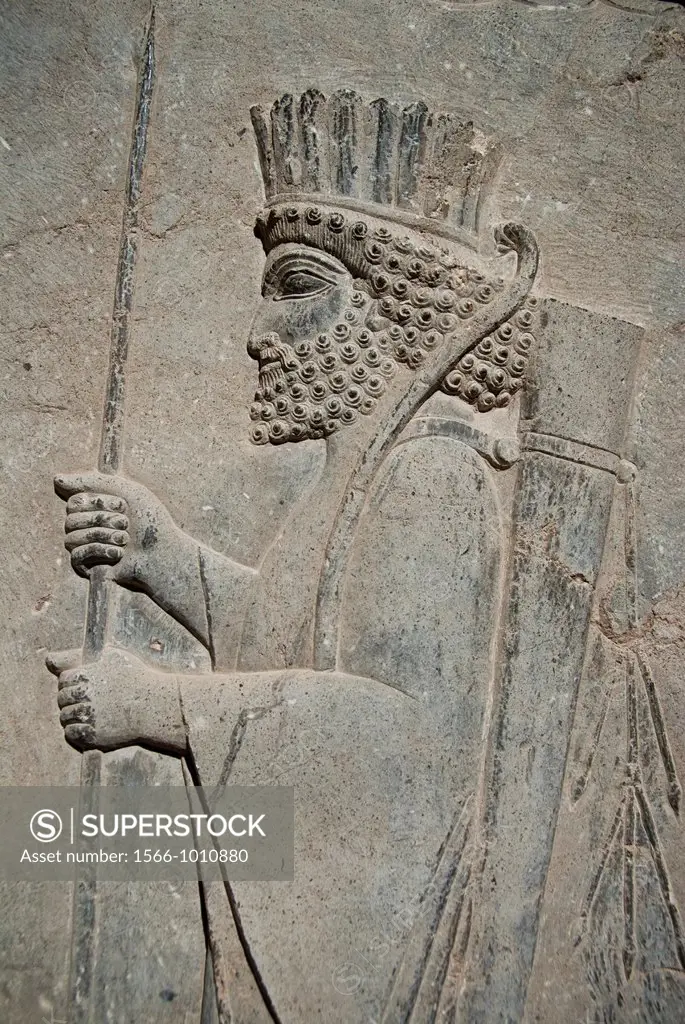 Persian soldier relief, Persepolis, Shiraz, Iran