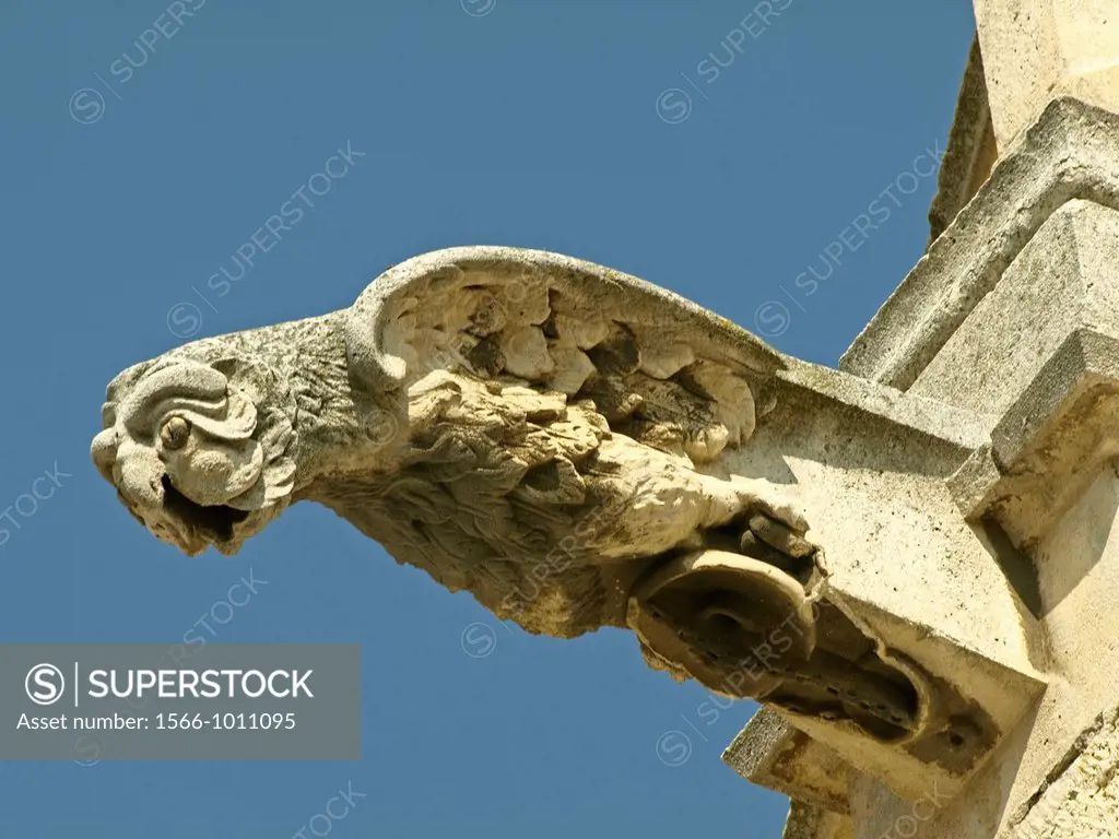 gargoyle of the cathedral of Palencia