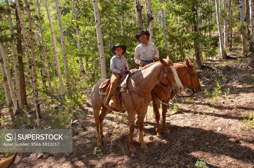 USA, Utah, horseback ride in Escalante with wranglers Jamie Barnson and Cash Barnson through ponderosa pine forest up steep trail to Aquarius Plateau ...