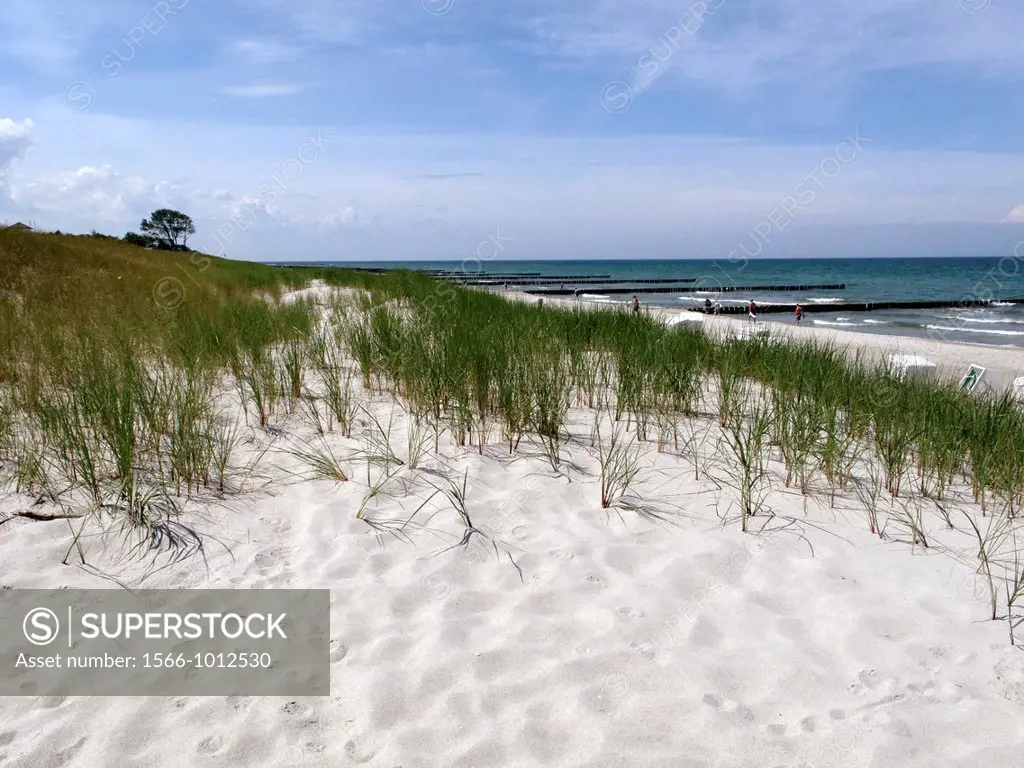 Zingst Peninsula is the easternmost portion between the city of Rostock and town of Stralsund on the southern shore of the Baltic Sea  Mecklenburg-Wes...