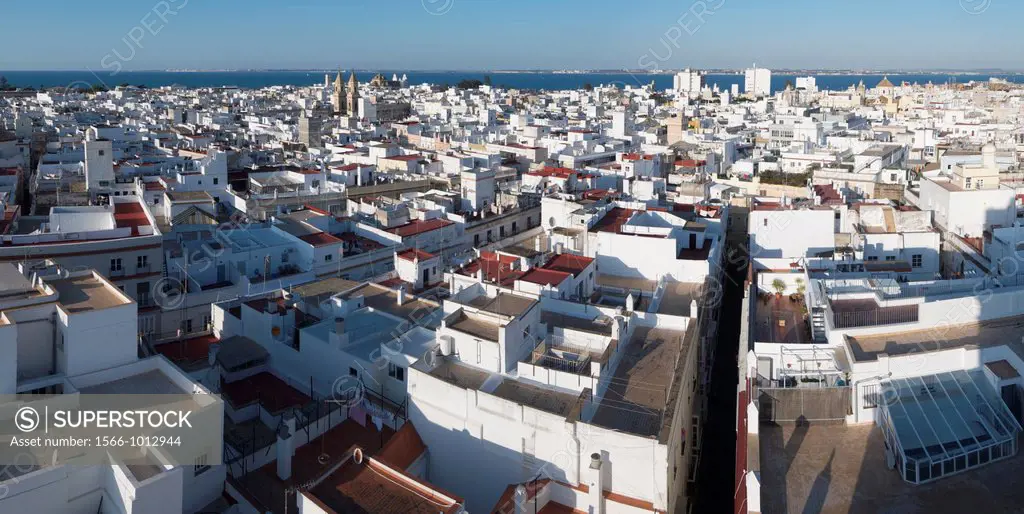 aerial view of the old town of Cadiz, Andalucia, Spain