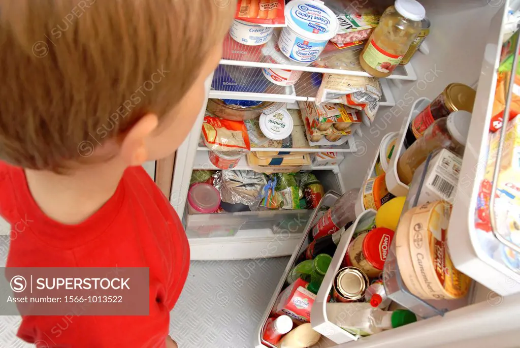 Young boy looking in a fridge
