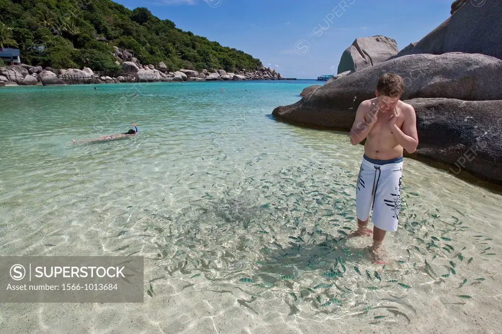 Boy with tropical fish , Nang Yuan beach , Ko Tao, Thailand