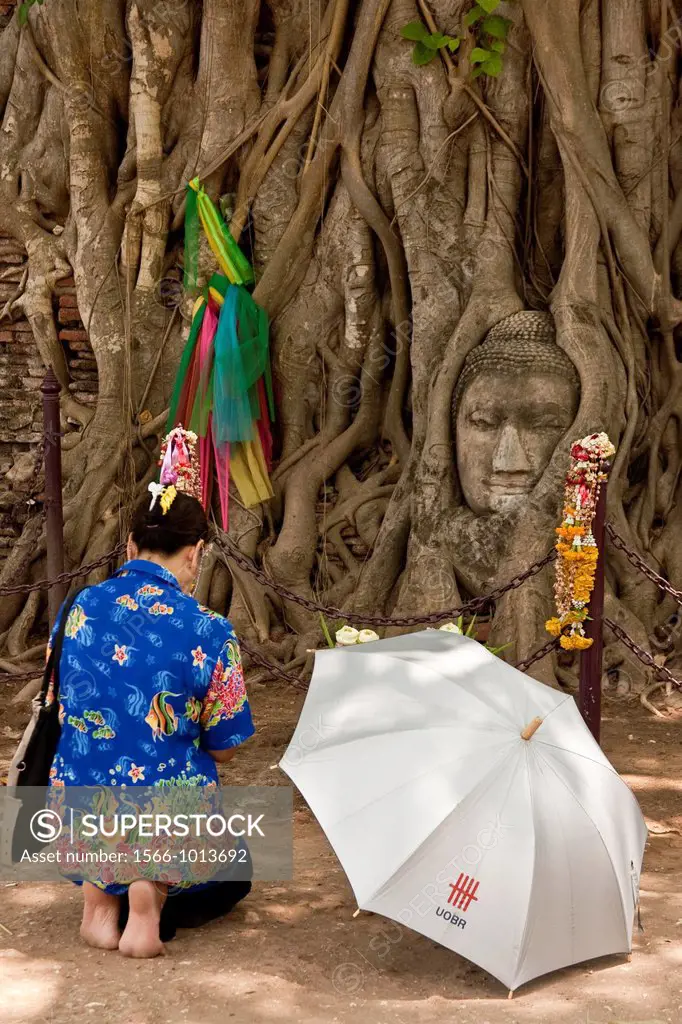 Woman praying at the Buddha head in tree roots, Wat Phra Mahathat, Ayutthaya, Thailand