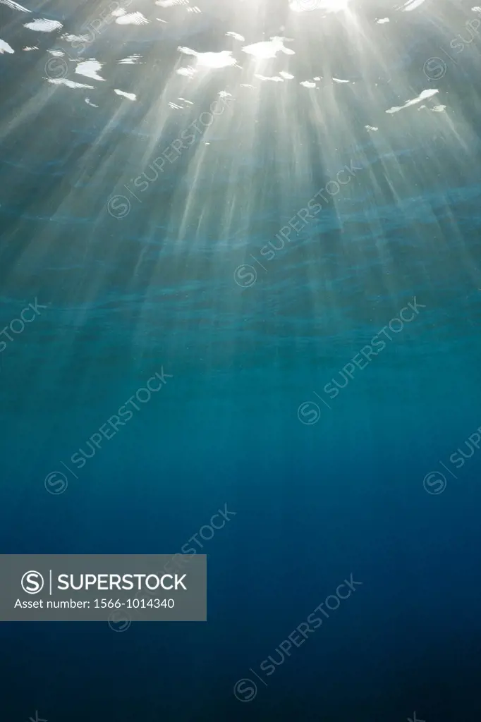 Sunbeams filtering through Water Surface, Caribbean Sea, Dominica