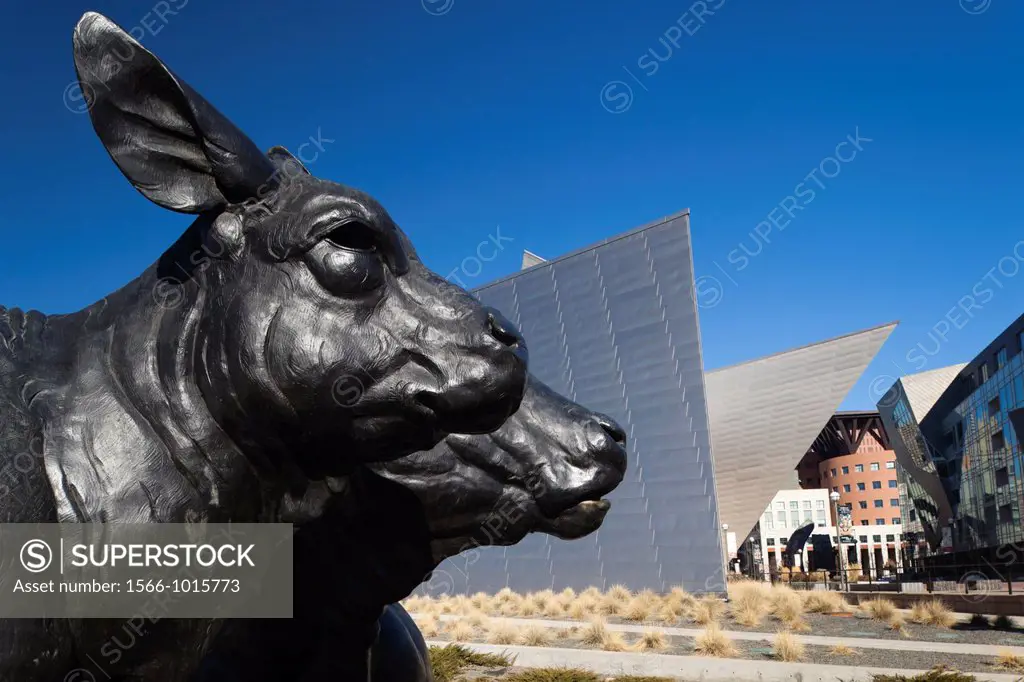 USA, Colorado, Denver, Denver Art Museum, designed by Daniel Liebeskind and Davis Partnership Architects, cow sculpture