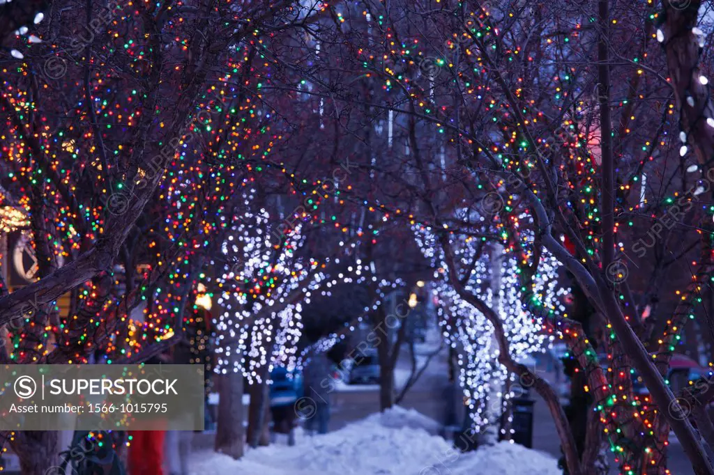 USA, Colorado, Aspen, Christmas tree lights, Mill Street Mall
