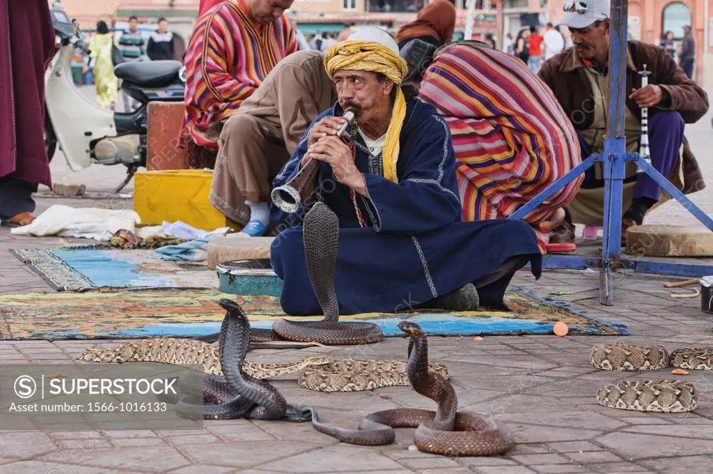 snake charmer at the Djemma el Fna in Marrakech, Morocco