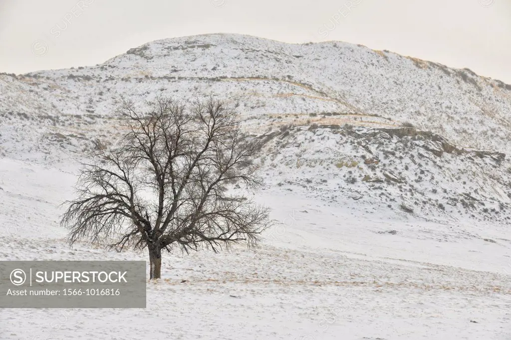 Fresh snow in the badlands landscape, Theodore Roosevelt NP South Unit, North Dakota, USA