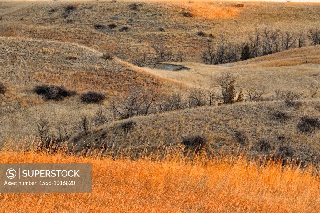 Hills and grasslands at dawn, Theodore Roosevelt NP South Unit, North Dakota, USA