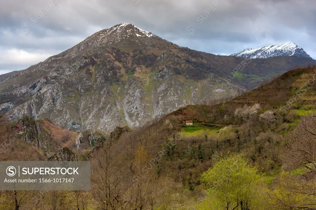 View on Cabeza Abogueru, Picos de Europa National Park, Amieva, Asturias, Spain