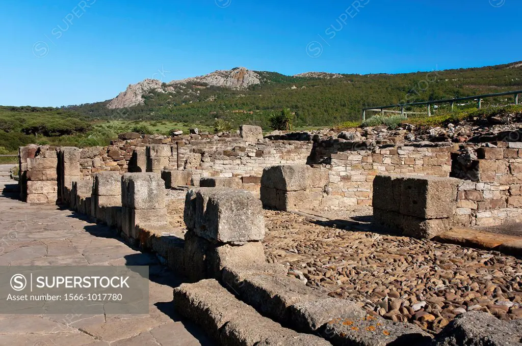 Roman ruins of Baelo Claudia and Sierra de la Plata, Tarifa, Cadiz-province, Spain