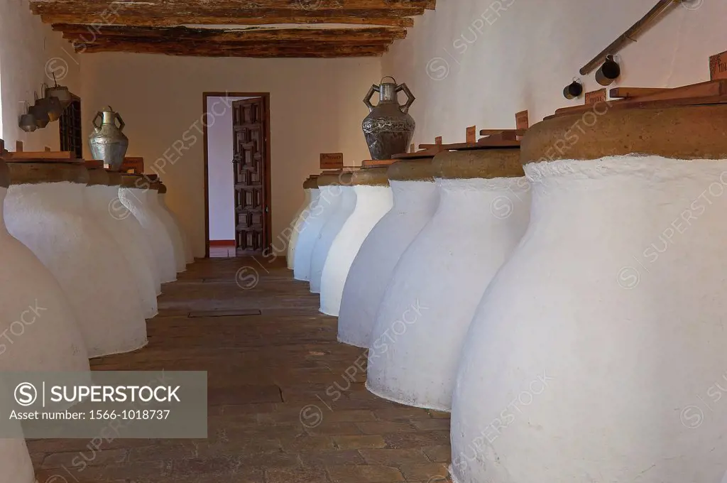Cellar of Núñez de Prado olive oil, Baena, Route of the Caliphate, Cordoba province, Andalusia, Spain