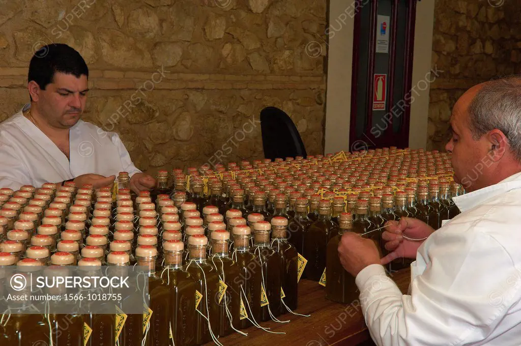 Olive oil Núñez de Prado, manual tagging, Baena, Route of the Caliphate, Cordoba province, Andalusia, Spain