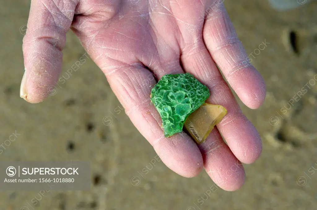 Hand with sea glass Kent Island Maryland USA