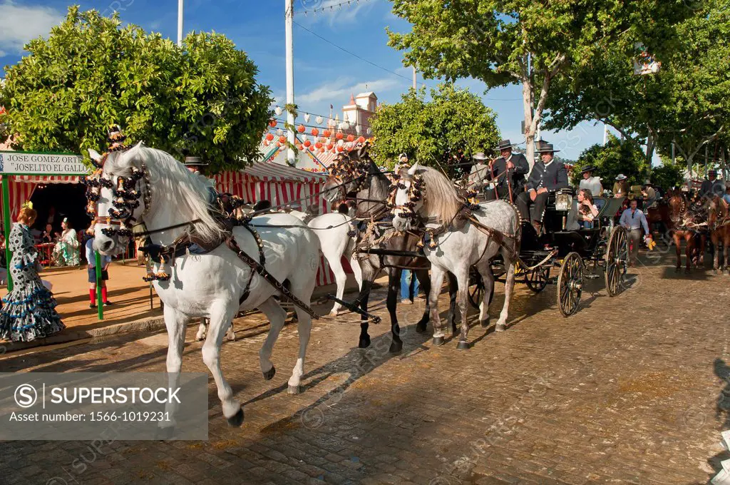 April Fair, Horse drawn carriage, Seville, Spain        