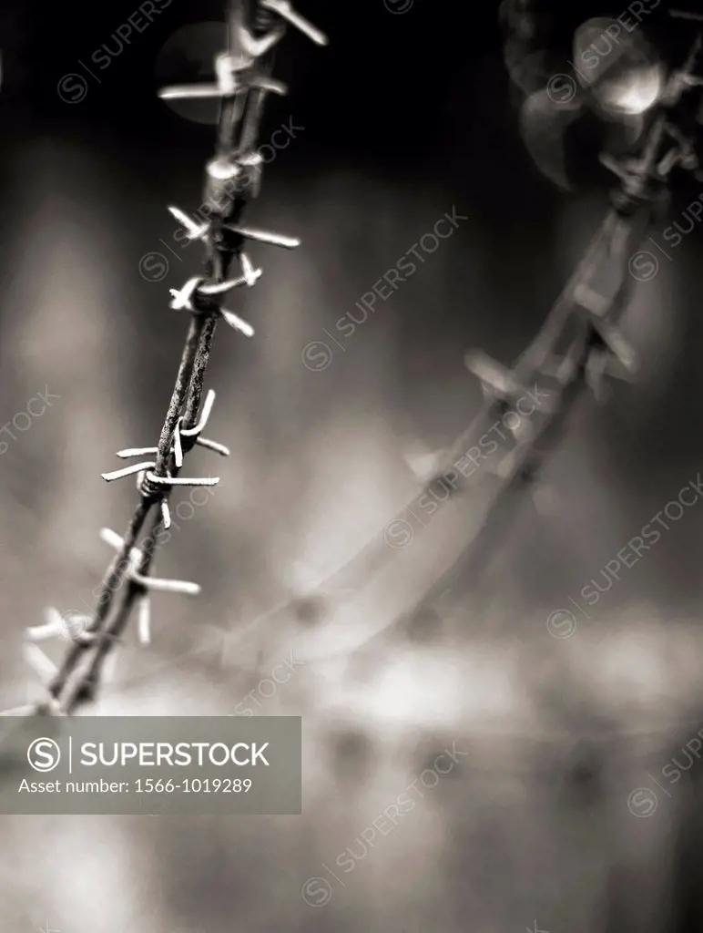 Barbed wire, Close-up